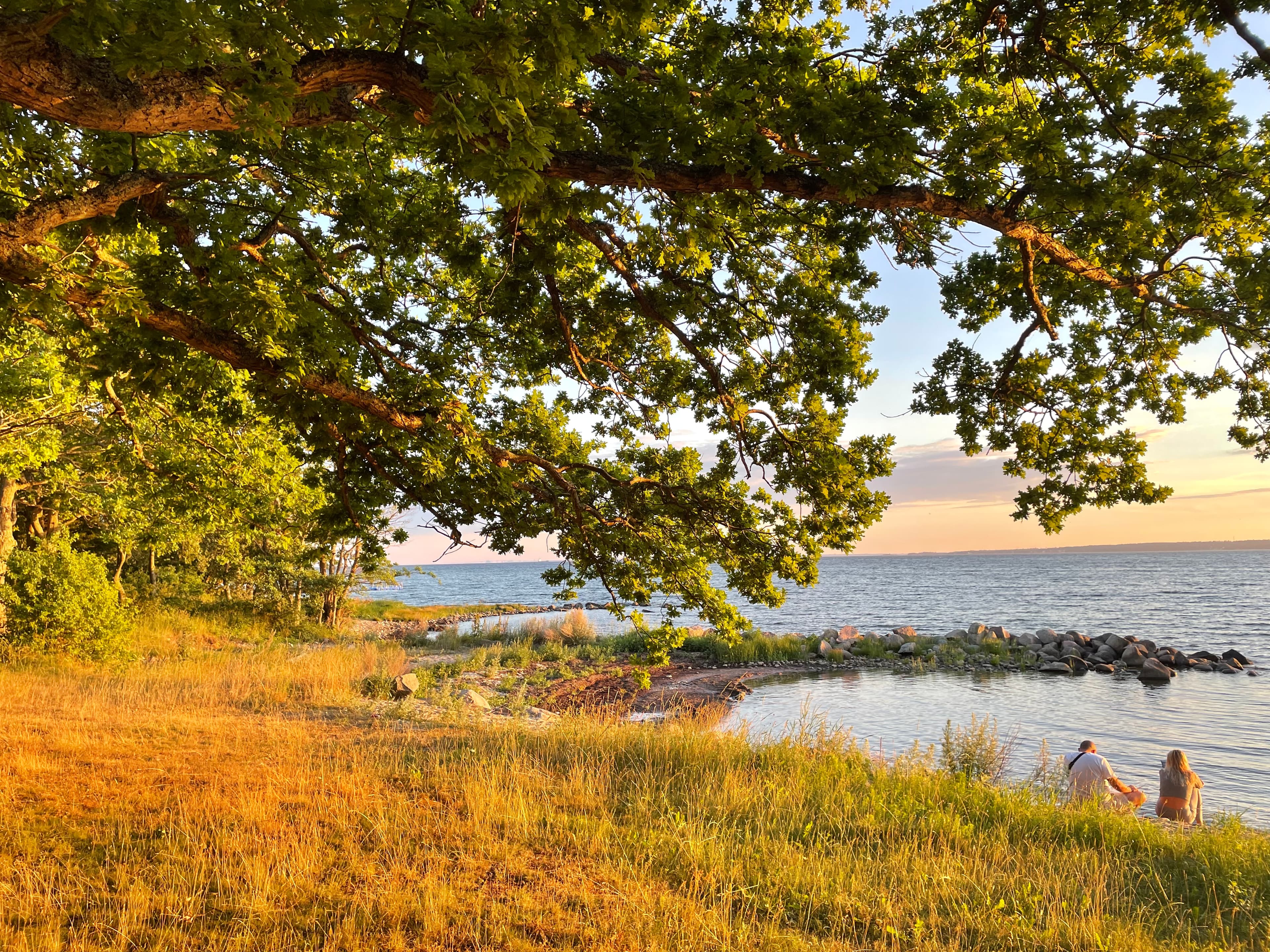 Ca 250 meter till havet med tillgång till brygga